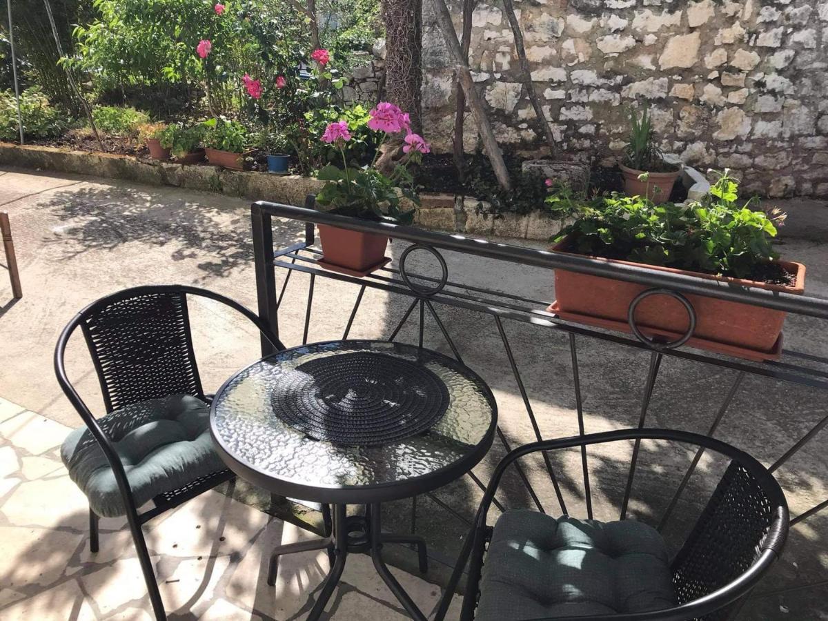 Jonas * Rovinj
